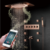 Ciel de pluie or rose 580x360 mm, led, Bluetooth, thermostatique