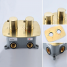 Robinetterie thermostatique dorée, 2 fonctions