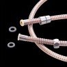 Flexible de douche Rose, longueur 150 cm